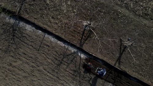 Aerial Drone View Man Farmer Working in the Garden Plows with Garden Tiller