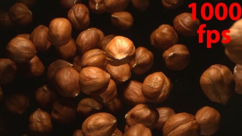 Hazelnut Nuts Flying In The Air In A Free Fall In Slow Motion On Black Background