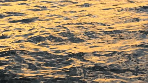 Wasser