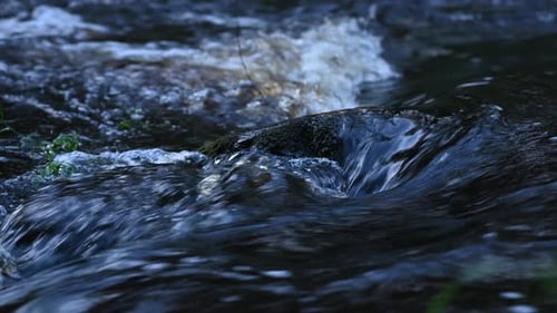 A Wild Mountain River Flowing Through Rocks. Close-up of River Rocks