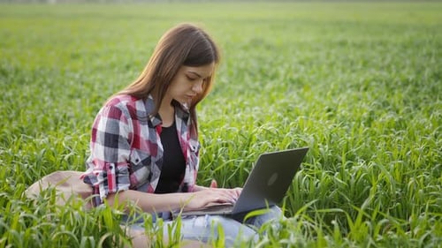 Woman Farmer Working at Laptop in Green Wheat Field Smart Modern Agronomist