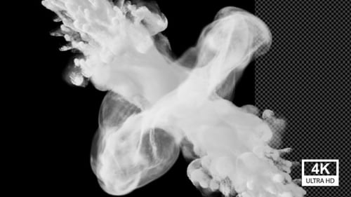 Dynamic White Smoke Fluid Reveal Transition