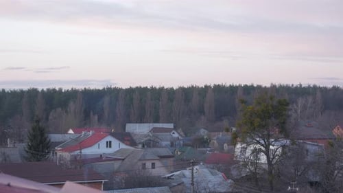 Forest And Suburb Houses