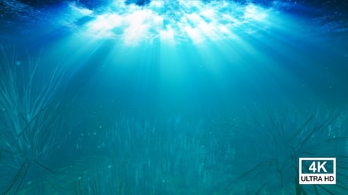 Underwater Ocean Light Rays 4K