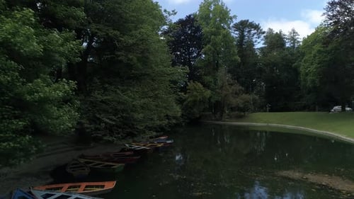 Wald-Fluss