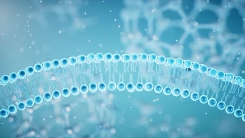 3D Animated Cell Membrane Structure for Science and Medical Projects