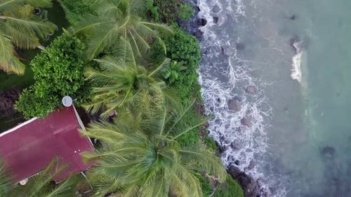 Martinique Island and Beach Aerial View in Caribbean Islands