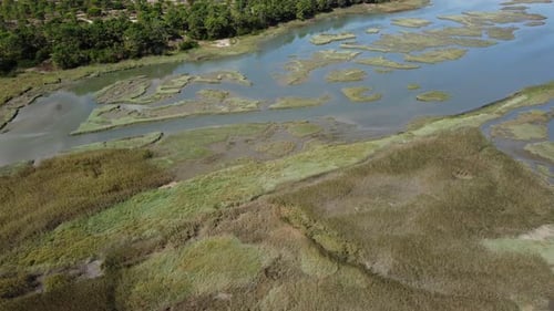Aerial View Of Nature Reserve Area With Swamp, Water, Green Grass, And Trees - drone shot