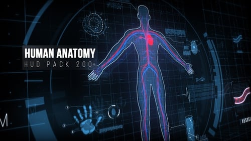 Human Anatomy Hud Elements 200