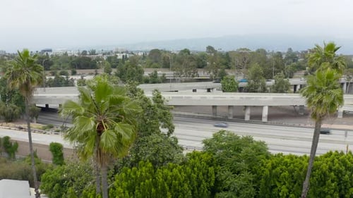 Side View on Los Angeles Two-level Freeway with Fast Moving Cars. Palm Trees Are at the Foreground.