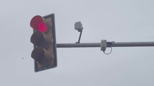 City Traffic Light And Electronic Sensors