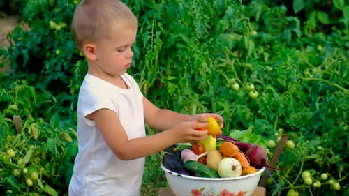 A Child in the Garden with a Harvest of Vegetables