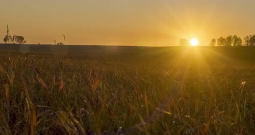 Flat Hill Meadow Timelapse at the Summer Sunset Time
