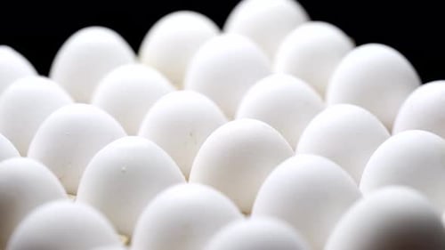 White Eggs in Carton Box