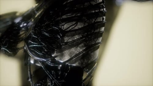 Futuristic Medical Visualization of Human Internal Anatomy