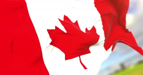 Realistic Canadian Flag Waving in Wind Animation