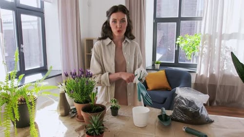 Mujer feliz o bloguera plantando flores en casa