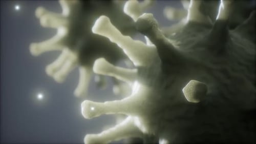 Rotating Microscopic Virus Particle for Science Media