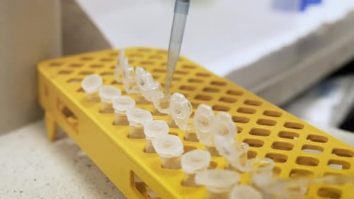Close Up of Lab Sample Preparation