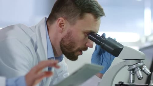 Zwei Chemiker arbeiten zusammen