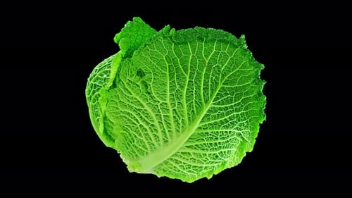 Green Cabbage on a Black Background