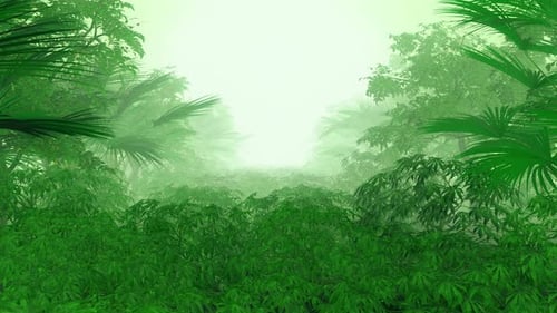 Jungle Exploration Through Misty Green Foliage Animation