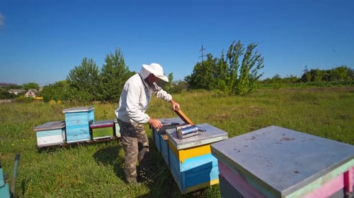 Beekeeper Inspecting Hives on a Sunny Day