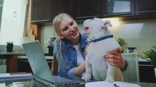 Woman Playing with Bulldog Puppy While Working