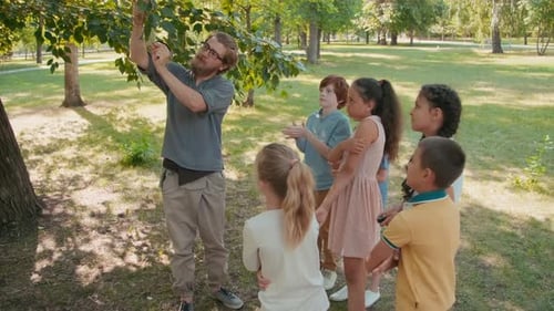 Mann unterrichtet Gruppe von Kindern über Natur