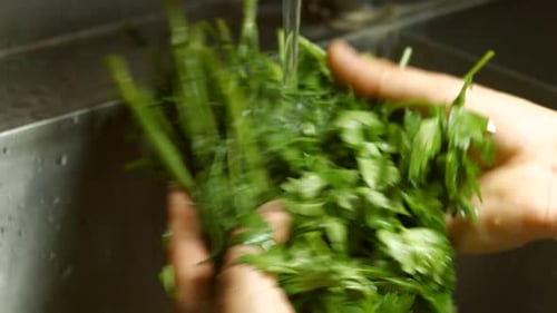 Hands Wash Parsley and Dill.