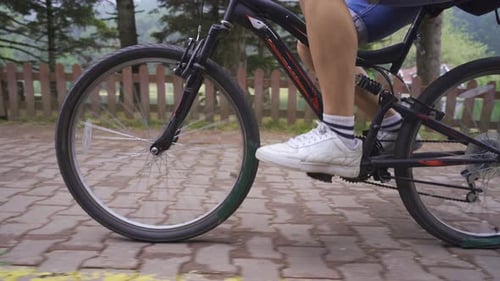 Cycling in the nature park.