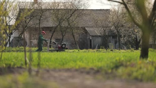 Farmer Operates Tiller in Green Rural Field
