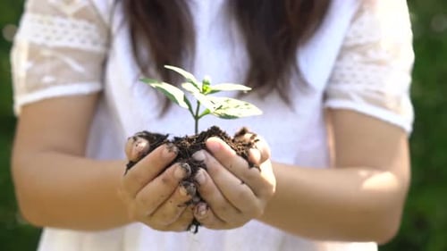 Mulher segurando o broto da planta e se movendo em direção à câmera