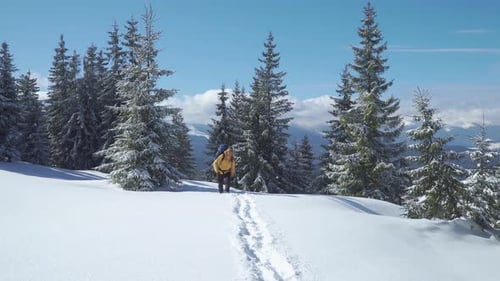 Winter Hiker Walking Through Snowy Mountain Landscape