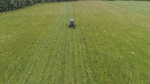Le tracteur tond le gazon