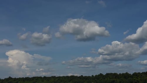 Clouds Moving Over Green Trees Under a Blue Sky
