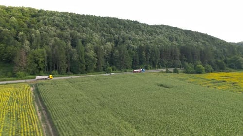 Aerial View of Country Road with Truck and Cars Near an Agricultural Sunflower Field