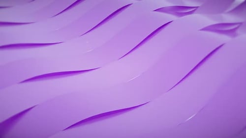 Elegant Abstract Purple Waves Background Loop