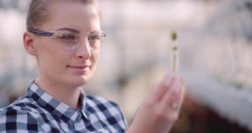 Woman Scientist Examines Plant Specimen in Test Tube