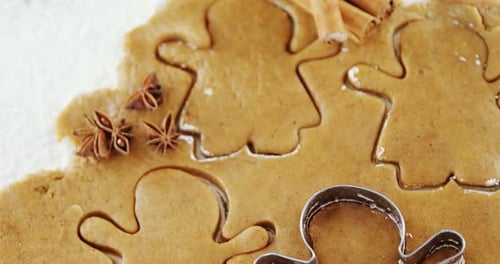 Gingerbread Cookie Dough with Anise and Cinnamon