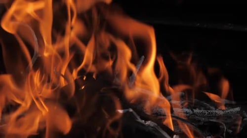 Camp Fire
