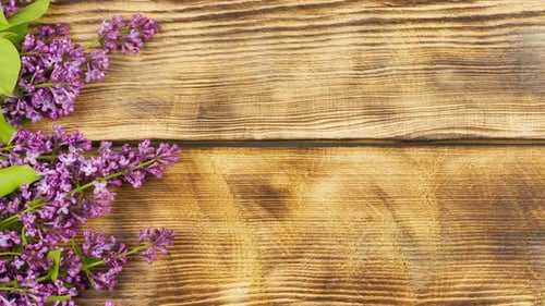 Purple Lilac Flowers on a Rustic Wooden Background