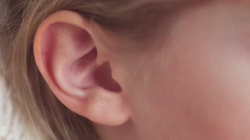 Closeup of a Child's Ear