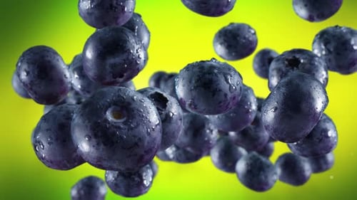 Flying of Blueberries in Lime Green Background