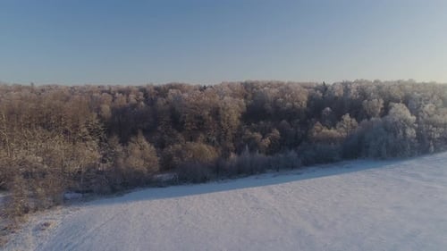 Winter Landscape in Countryside