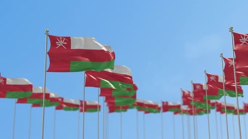 Oman Flags Waving on Poles Against Clear Blue Sky
