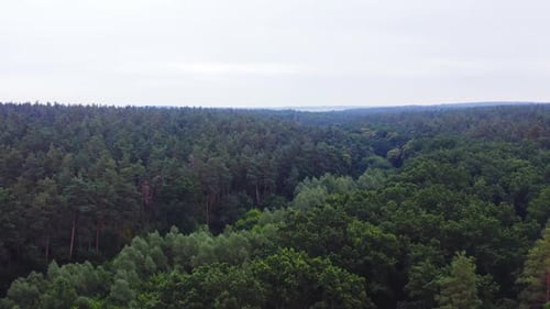 Wunderschöne Landschaft aus Wäldern