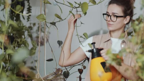 Female Florist Misting Plants in Houseplant Store