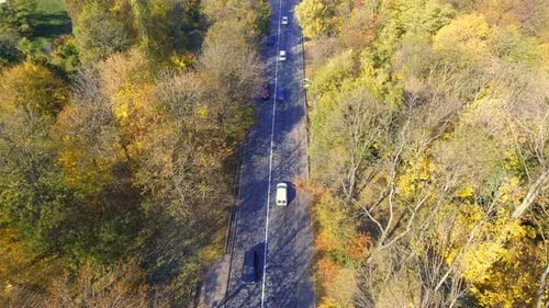 Overhead Aerial Top View Over Car Travelling Through Colorful Forest
