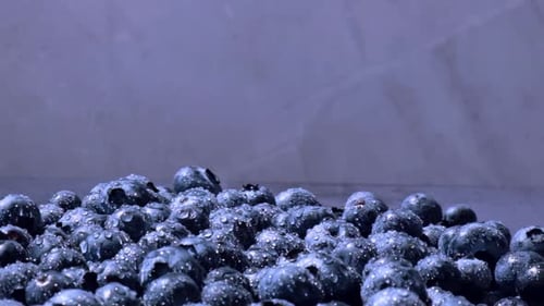 Fresh Blueberries in Plate Rotating Slow Motion